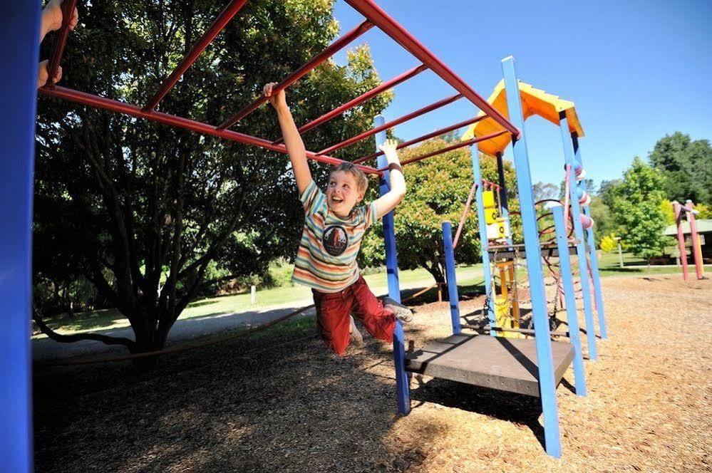 Nrma Bright Holiday Park エクステリア 写真